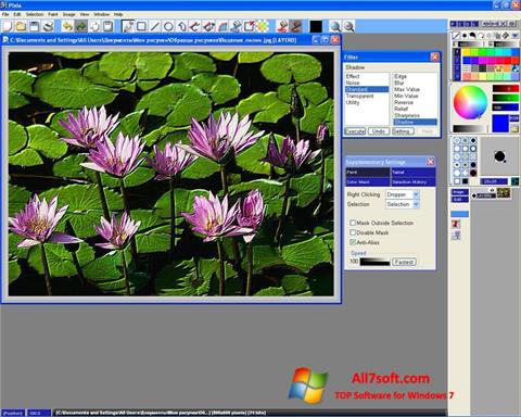 Capture d'écran Pixia pour Windows 7