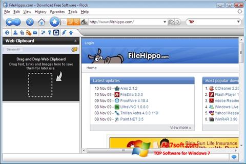 Capture d'écran Flock pour Windows 7