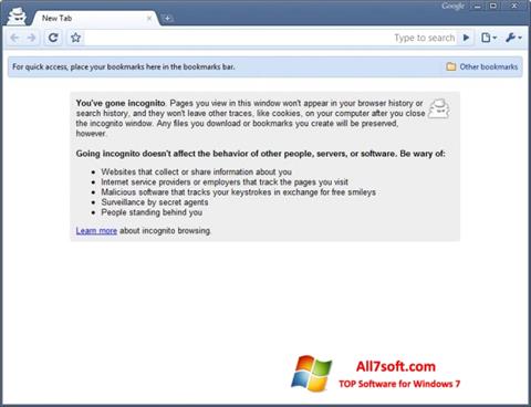 Capture d'écran Google Chrome Beta pour Windows 7