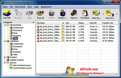 Capture d'écran Internet Download Manager pour Windows 7