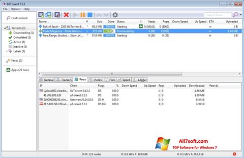 Capture d'écran BitTorrent pour Windows 7
