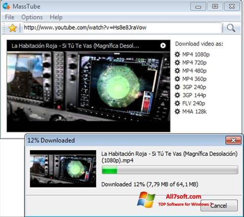 Capture d'écran MassTube pour Windows 7