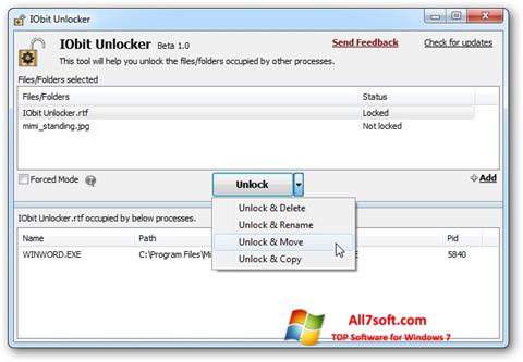 Capture d'écran IObit Unlocker pour Windows 7