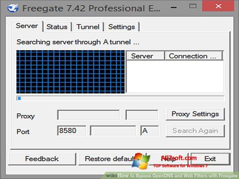 Capture d'écran Freegate pour Windows 7