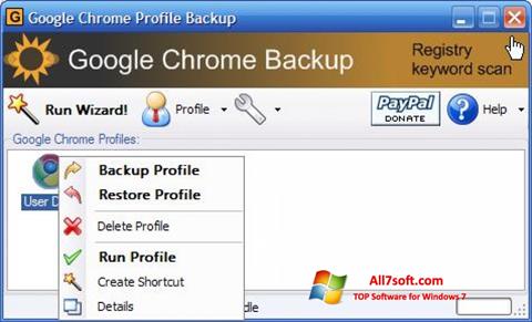 Capture d'écran Google Chrome Backup pour Windows 7