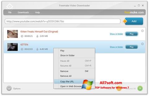Capture d'écran Freemake Video Downloader pour Windows 7